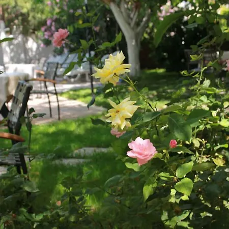 Vanilla מלון פאטהיה