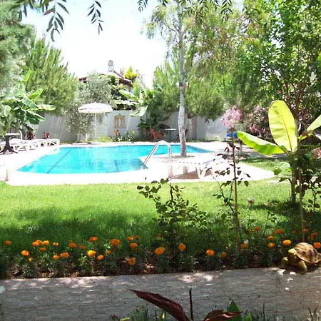 Otel Vanilla 3*