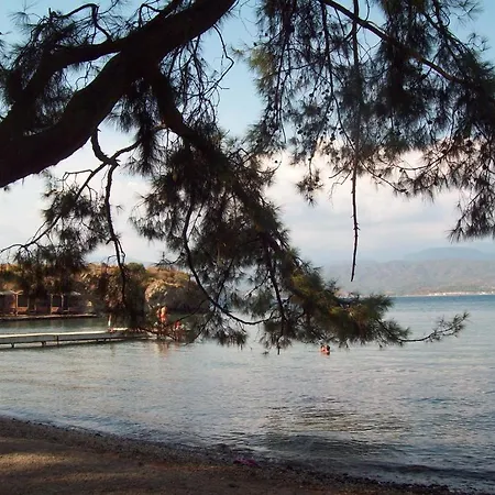 Vanilla Fethiye